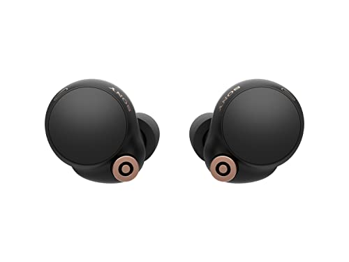 Sony WF-1000XM4 - Auriculares inalámbricos con cancelación de Ruido con Alexa Integrado, Color Negro